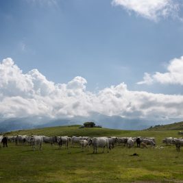 La région ariégeoise