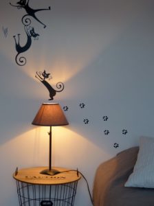 Les chats qui font des galipettes